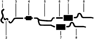 1981 Buick Century Regal 6 Cyl 3.8L Engine Dual Exhaust System diagram