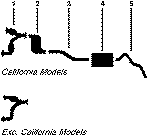 1981 Mercury Cougar 8 Cyl 4.2L Engine Single Exhaust System diagram
