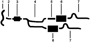 1983-84 Oldsmobile Cutlass 8 Cyl 5.0L Engine Dual Exhaust System diagram