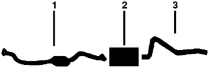 1977-78 Plymouth Caravelle 6 Cyl Engine Single Exhaust System diagram