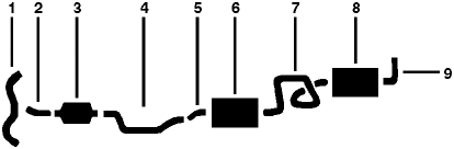 1982-89 Pontiac Parisienne 8 Cyl 5.0L Engine Single Exhaust System diagram