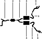 1980 Pontiac Firebird 8 Cyl 4.9L Engine Dual Exhaust System diagram