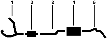 1979 Chevy C30 Pickup C35/C3500 Pickup 6 Cyl 292 Engine Single Exhaust System diagram