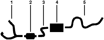 1979 Chevy P10 VAN P15/P1500 VAN 6 Cyl 292 Engine Single Exhaust System diagram