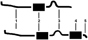 1976 Dodge Dart 8 Cyl 360 Engine Dual Exhaust System diagram