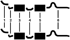 1962 Chrysler New Yorker Station Wagon 8 Cyl Dual Exhaust System diagram
