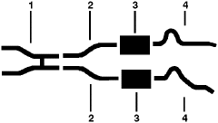 1966 Ford Torino & Elite 8 Cyl Dual Exhaust System diagram
