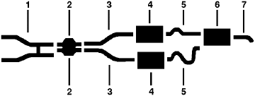 1975 Ford Pinto 6 Cyl Dual Exhaust System diagram