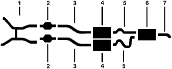 1976 Mercury Bobcat 6 Cyl Dual Exhaust System diagram